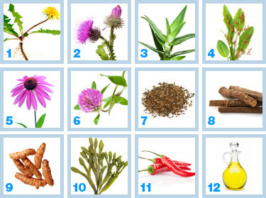 ClearPores® Ingredients